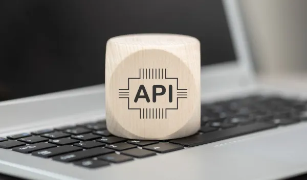 API.jpeg